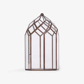 June Lantern